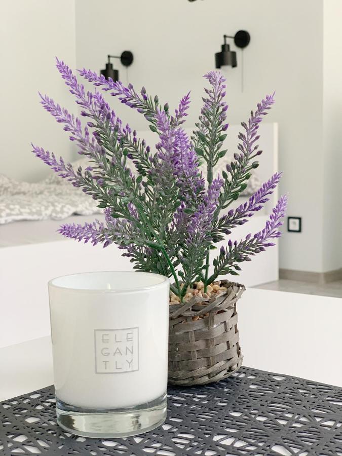 Apartament Chyba Snisz Łańcut Εξωτερικό φωτογραφία